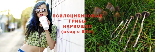 СК Абаза