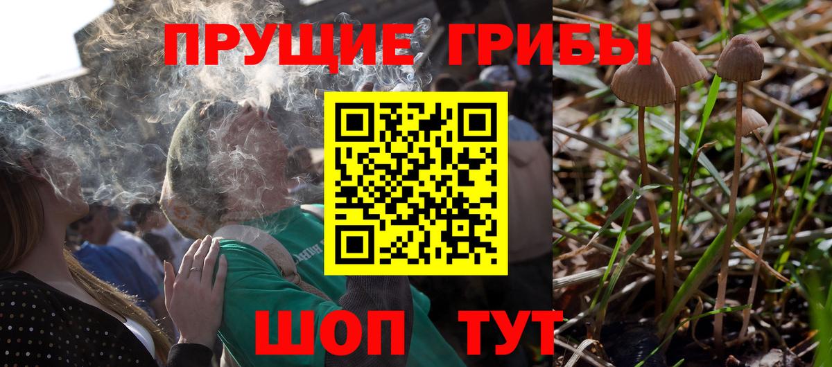 Ярославль  Галлюциногенные грибы ЛСД  Вход с VPN 